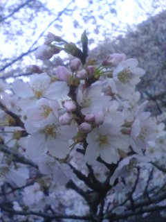 070329_1717~01.jpg