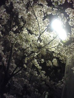 070401_2004~01.jpg