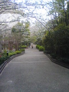 070405_1619~01.jpg