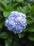070622_1723~01.jpg