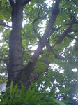 070805_1732~01.jpg